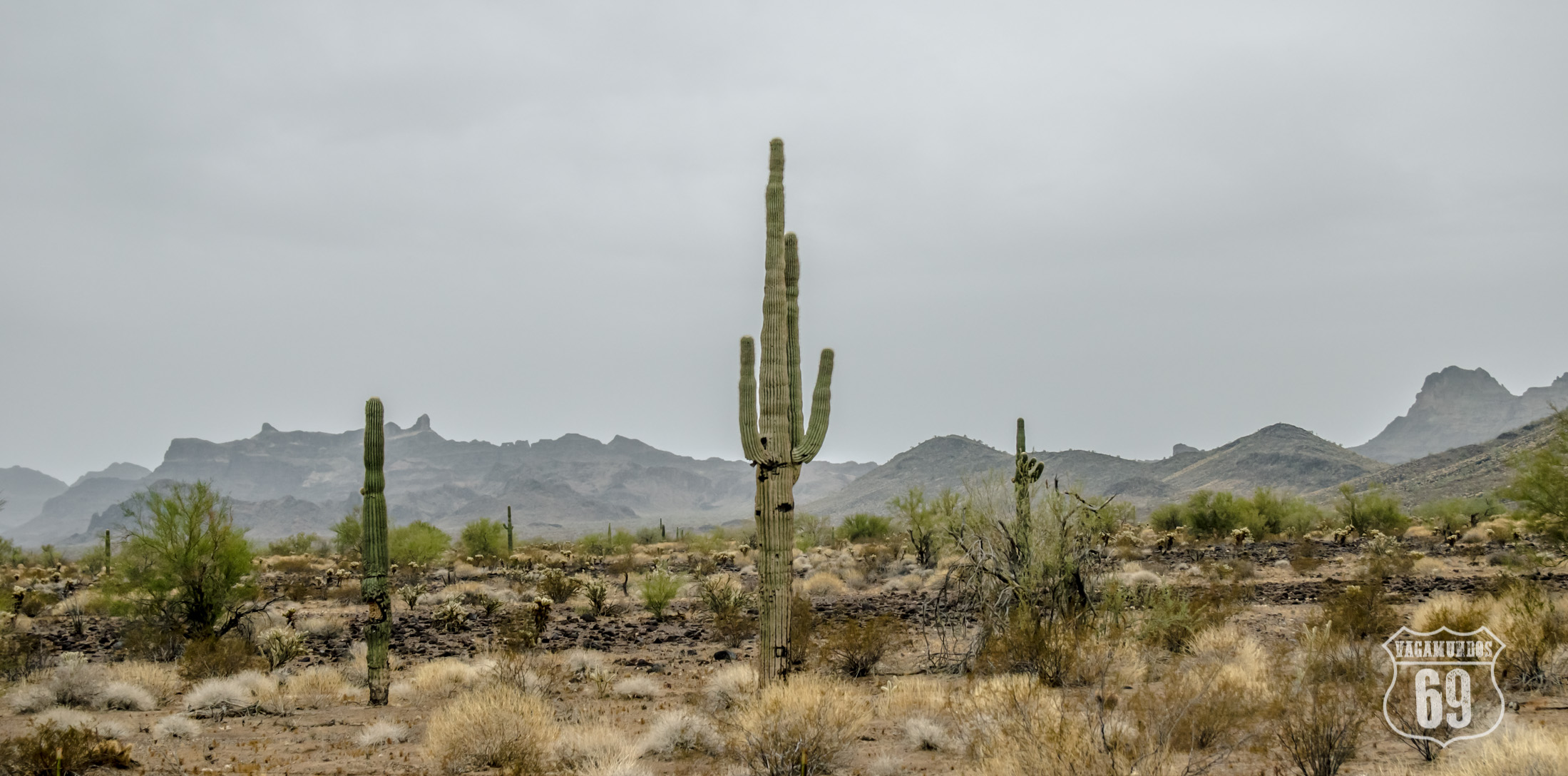 vagamundos_arizona_march_18